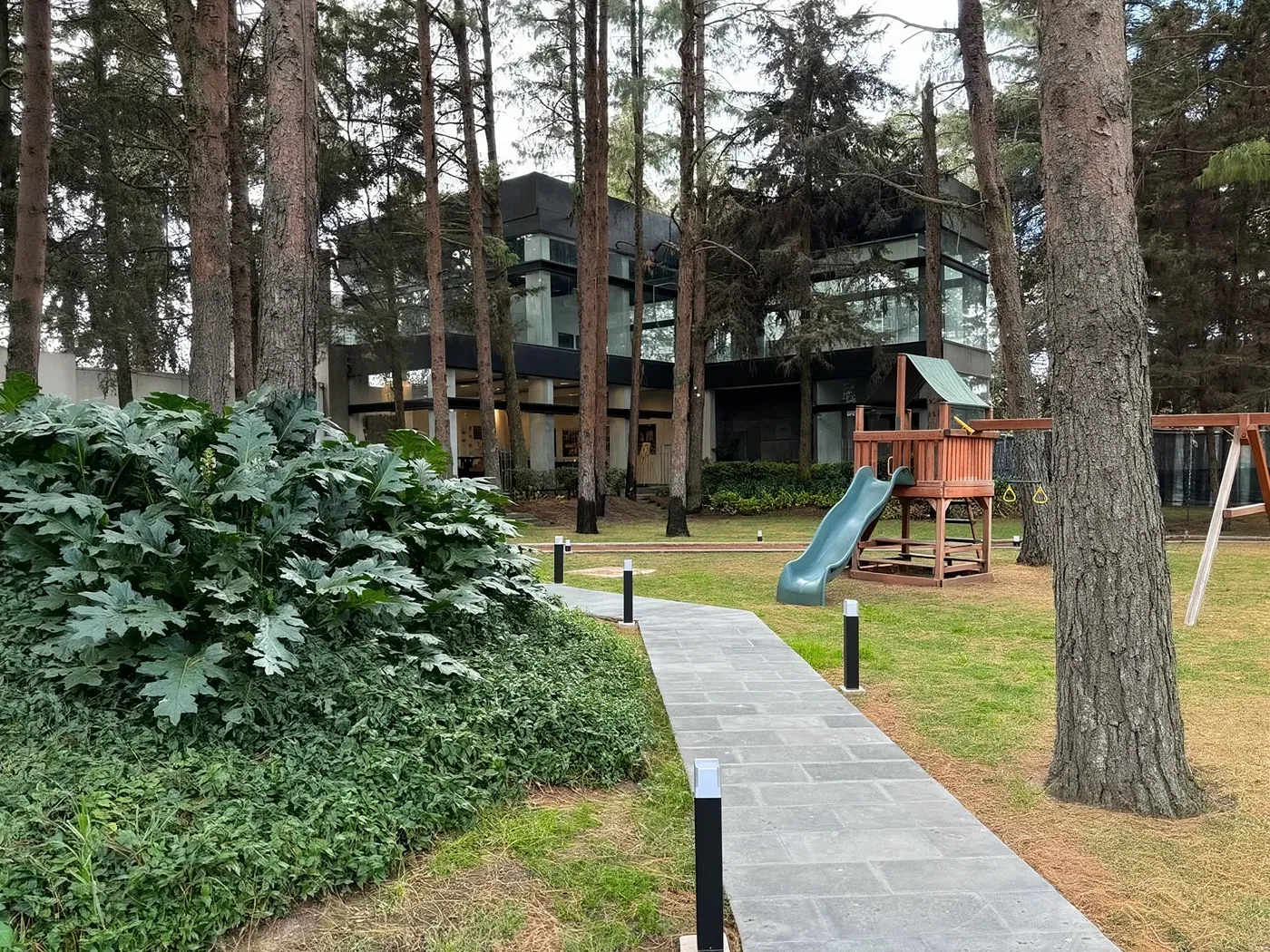 Amenidad, Entre Árboles, Metepec.